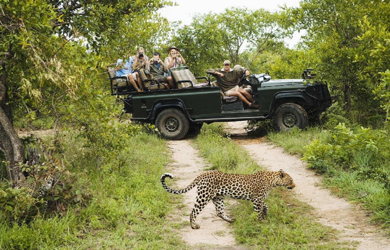 safari africa de sud